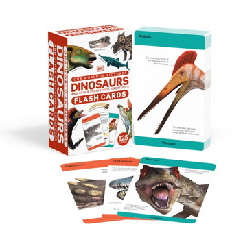 Our World in Pictures Dinosaurs and Other Prehistoric Creatures Flash Cards