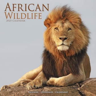 African Wildlife Calendar 2025 Square Wildlife Safari Wall Calendar - 16 Month