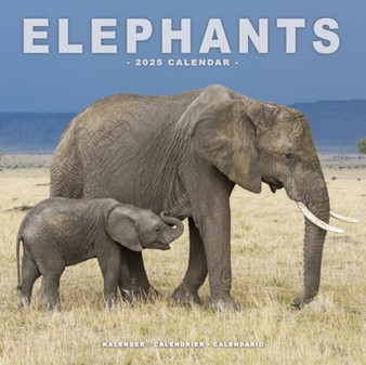 Elephants Calendar 2025 Square Wildlife Safari Wall Calendar - 16 Month