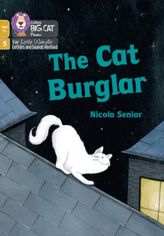 The Cat Burglar : Phase 5 Set 1