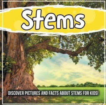 Stems : Discover Pictures and Facts About Stems For Kids!