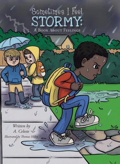 Sometimes I Feel Stormy : A Book About Feelings