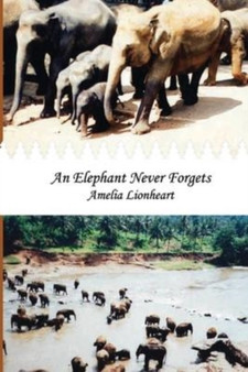 An Elephant Never Forgets : 3