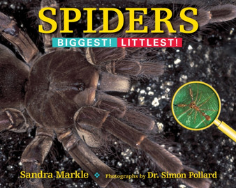 Spiders : Biggest! Littlest!