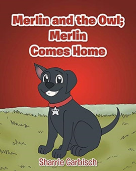 Merlin and the Owl : Merlin Comes Home