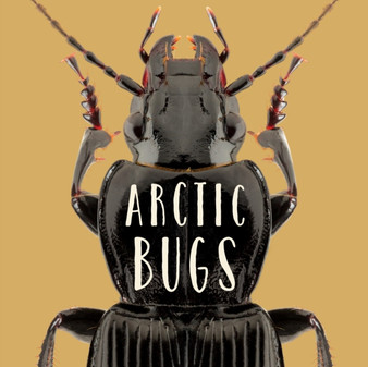 Arctic Bugs : English Edition