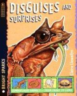 Disguises and Surprises