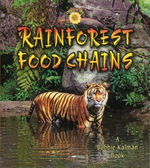 Rainforest Food Chains