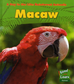Macaw