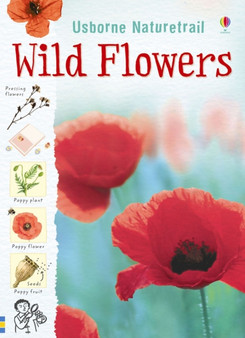 Nature Trail Wild Flowers