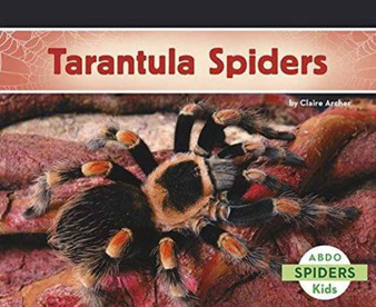 Tarantula Spiders