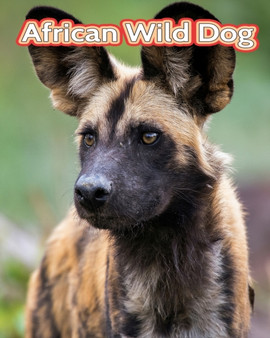African Wild Dog : Fun Facts Book For Kids