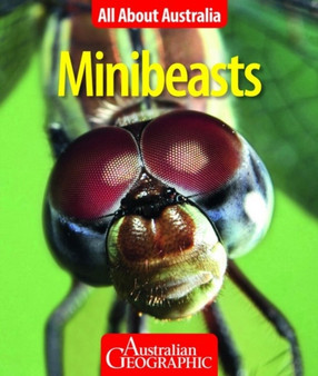All About Australia: Minibeasts
