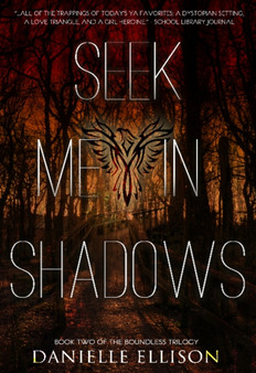 Seek Me in Shadows : Book Two of the Boundless Trilogy