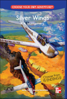CHOOSE YOUR OWN ADVENTURE: SILVER WINGS