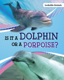 Is It a Dolphin or a Porpoise?