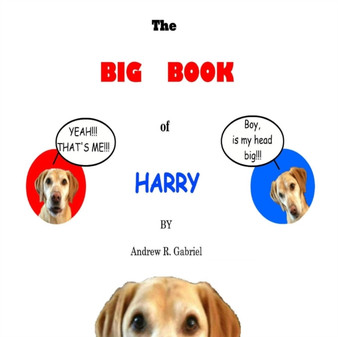 The Big Book of Harry