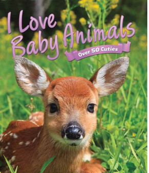 I Love: Baby Animals