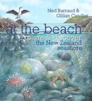 At the Beach : Explore & Discover the New Zealand Seashore