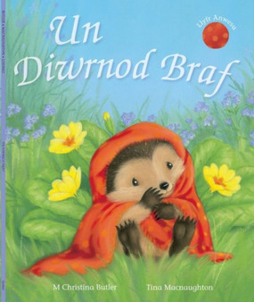 Cyfres Draenog Bach: Un Diwrnod Braf