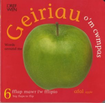 Geiriau O'm Cwmpas/Words Around Me
