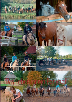 Das Leben ist ein Ponyhof : Sommerferien in Beringstedt