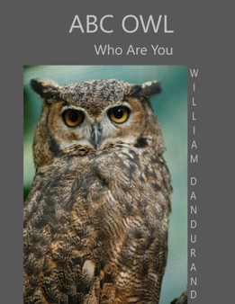 ABC Owl : Who Are You