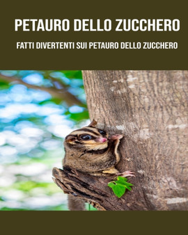 Petauro Dello Zucchero : Fatti divertenti sui Petauro Dello Zucchero