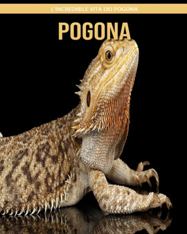 Pogona : l'incredibile vita dei Pogona