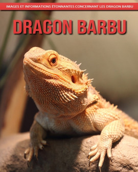 Dragon Barbu : Images et Informations Etonnantes Concernant les Dragon Barbu