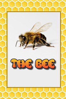 The Bee : Everything you would like to know about Bees. : 8