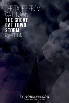 The Tales from Cat Town : The Great Cat Town Storm ( Part 1 )