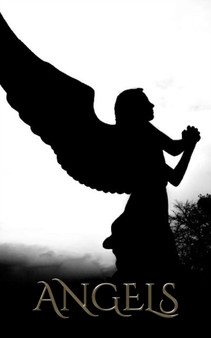 Dark Angels writing Drawing journal : Dark Angesl Writing drawing Journal by Sir Michael Huhn - Paperback