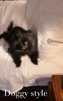 doggy style cuteness journal : doggy style by Sir Michael Huhn - Paperback