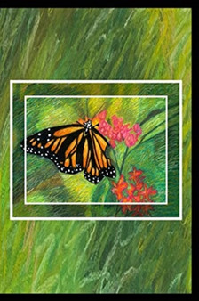 Butterfly Journal - Blank Journal (Paperback) by Katrina N Hunter - Paperback