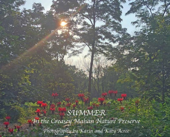 Summer in the Creasey Mahan Nature Preserve by Karin Acree - Hardback