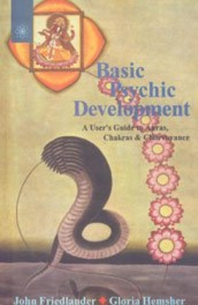 Basic Psychic Development : A User's Guide to Auras, Chakras and Clairvoyance by John Friedlander - Paperback