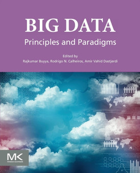 Big Data : Principles and Paradigms by Rajkumar Buyya - Paperback
