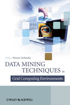 Data Mining Techniques in Grid Computing Environments by Werner Dubitzky - Hardback