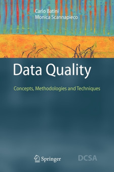 Data Quality : Concepts, Methodologies and Techniques by Carlo Batini - Paperback