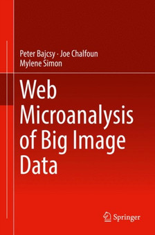 Web Microanalysis of Big Image Data by Peter Bajcsy - Hardback