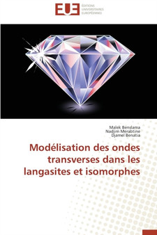 Mod lisation Des Ondes Transverses Dans Les Langasites Et Isomorphes by Collectif - Paperback