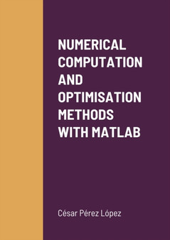 Numerical Computation and Optimisation Methods with MATLAB by Cesar Perez Lopez - Paperback
