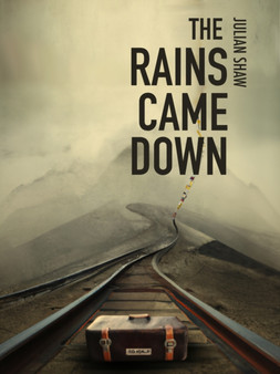 The Rains Came Down by Julian Shaw - Paperback