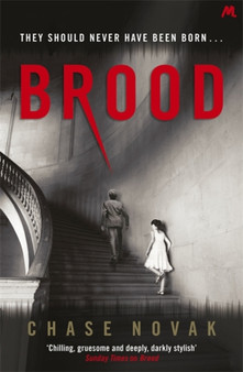 Brood by Chase Novak - Paperback