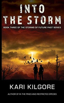 Into the Storm : 3 by Kari Kilgore - Paperback