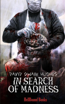 In Search of Madness by David Owain Hughes - Paperback