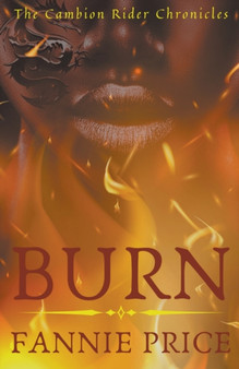 Burn : 2 by Fannie Price - Paperback