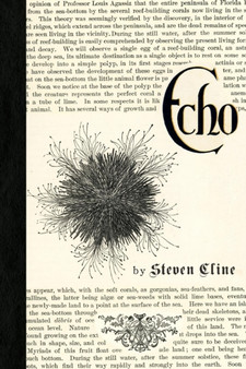 Echo & Other Fragments by Steven Cline - Paperback