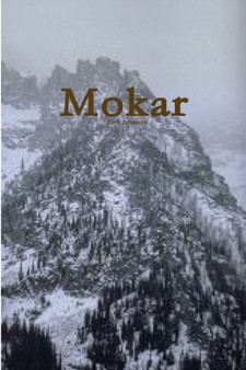 Mokar by Lori Aronson - Paperback